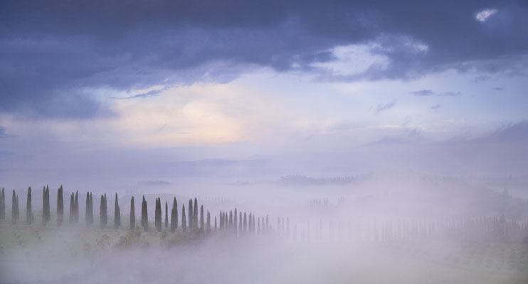 Annette Timmermann - Allee im Nebel - Annahme