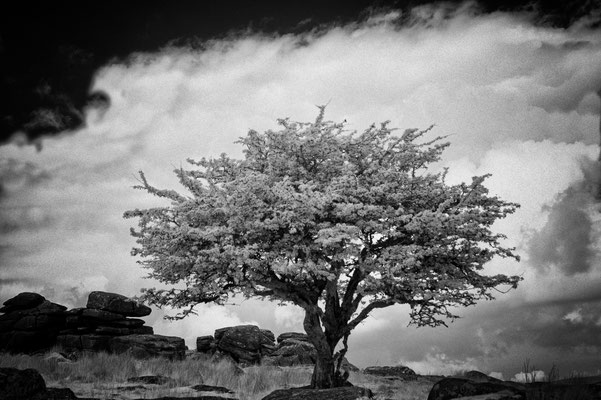 IR, Dartmoor England