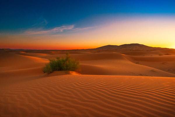 Karin Luttmer - Atemberaubende Wüste Sahara - Annahme