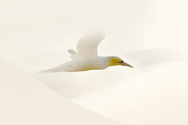 Hans Joachim Dittmer - Anflug - Annahme