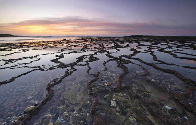 A.Timmermann Tidepools
