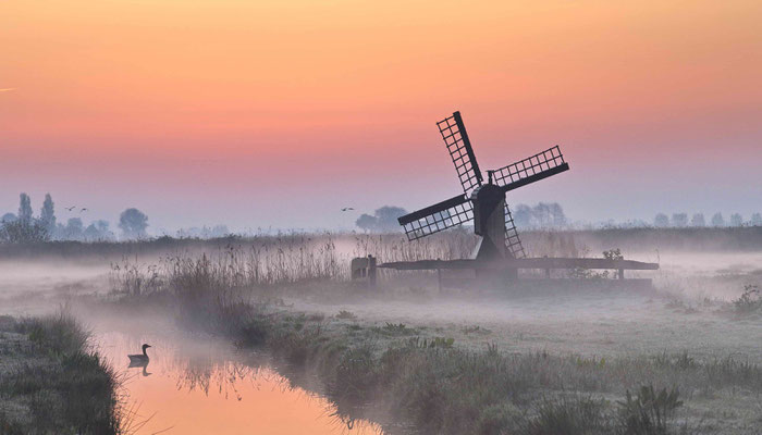 Annette Timmermann - Morning Dust/4 Annahmen