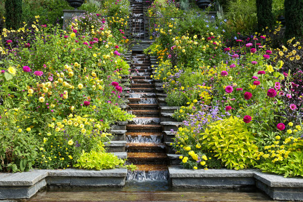 B.Wohlleben, Wassertreppe mit Blümen