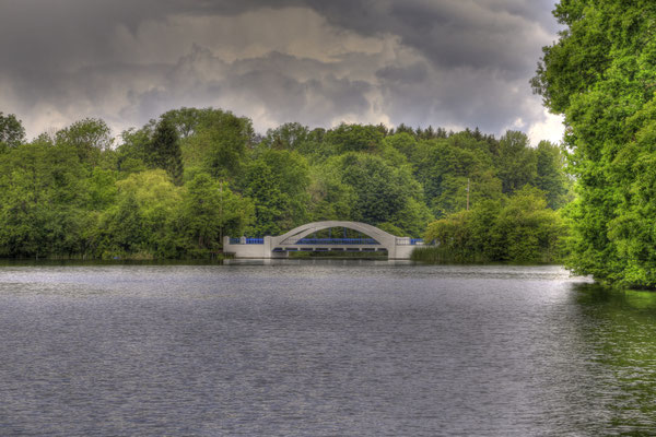 B.Wohlleben, Die Brücke