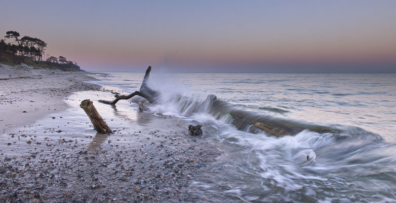 Annette Timmermann - Darsser Weststrand/3 Annahmen