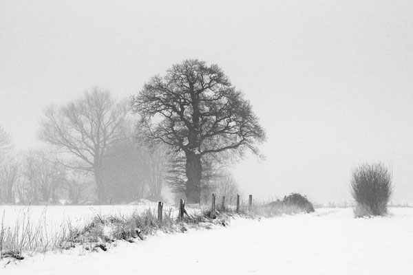 Uwe Jacobsen  -  Winter in Schleswig-Holstein/Annahme