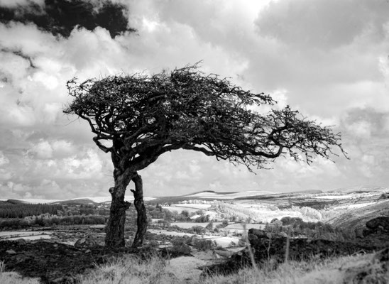 IR, Dartmoor England