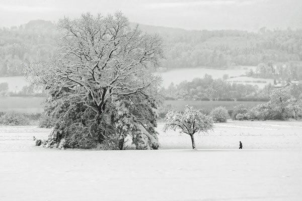 Schneespaziergang