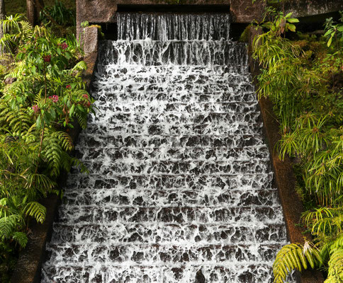 B.Wohlleben, Wassertreppe