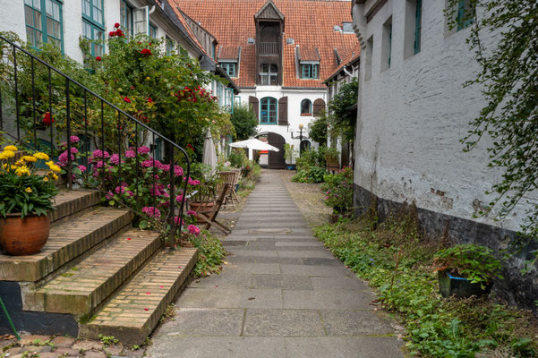B.Wohlleben, Der Durchgang