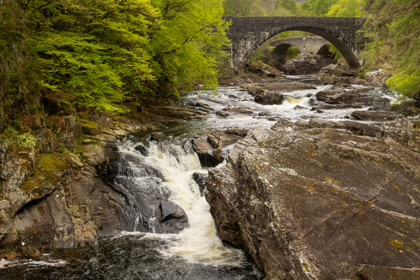 B.Wohlleben, Flusslauf mit Brücken