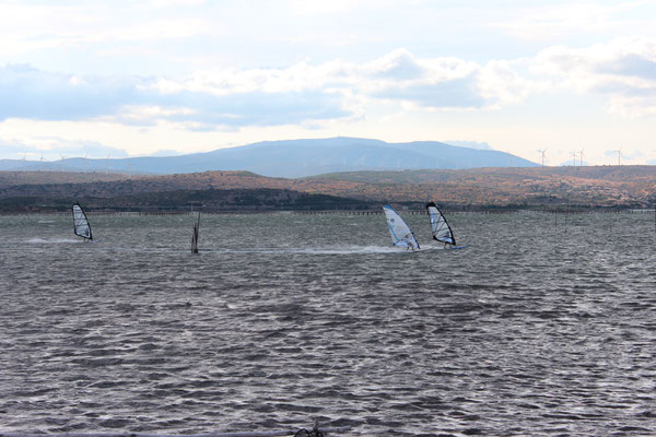 Windsurfen unter der Tramontane