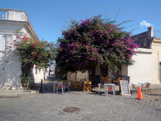 schönes Colonia Sacramento