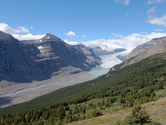 Saskatchewan Glacier Banff NP