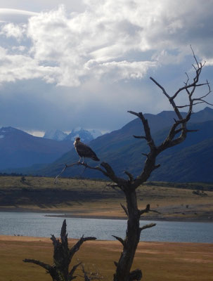 am Lago Roca