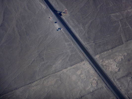 die Panamericana durchschneidet die Eidechse