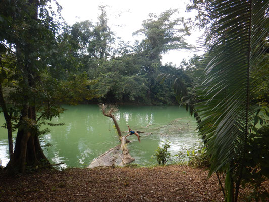 Clarissa Falls