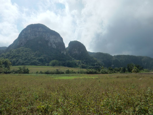 Vinales Valley