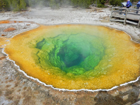 Morning Glory Pool