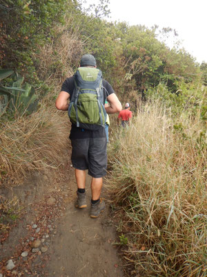 Wanderung auf den Vulkan Santa Ana
