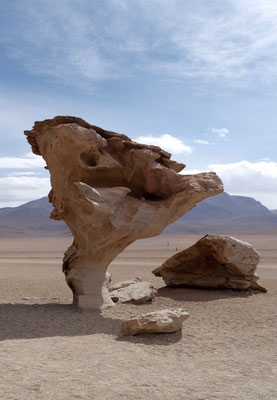 Arból de Piedra