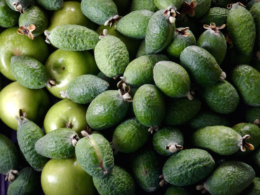 was grünes Unbekanntes