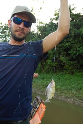 Piraña am Haken