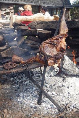 Gordero