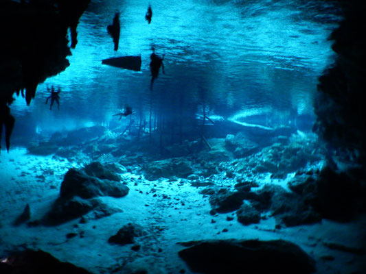 Eindrückliche Cenotes