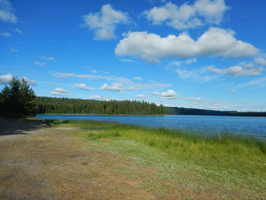 Forest Lake