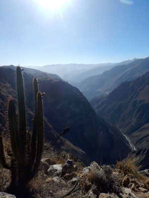 herrliche Aussicht in den Canyon