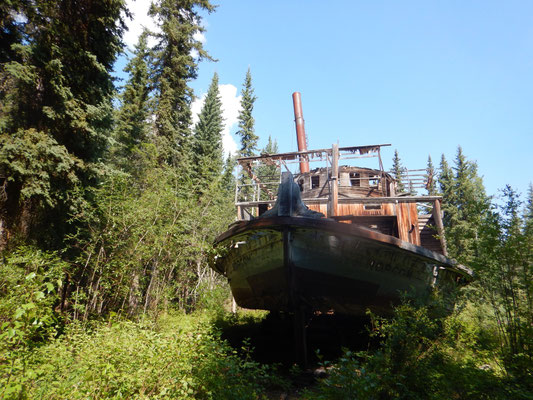 SS Evelyn auf Shipyard Island 