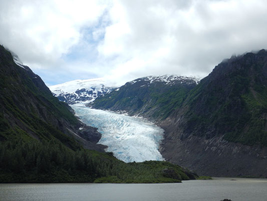 Bear glacier nahe der Meziadin junction