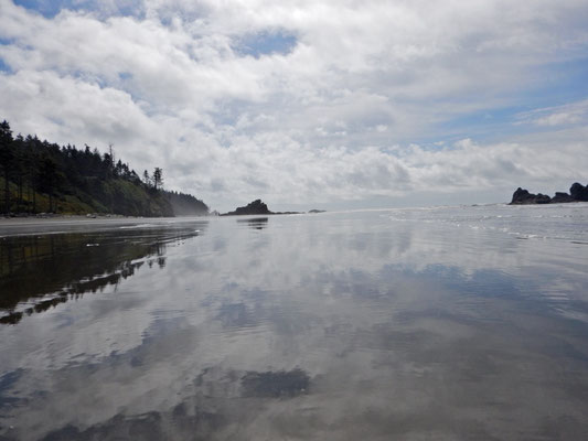 Olympic NP