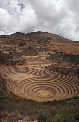 Terassenfelder von Moray