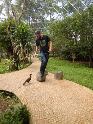Pfui, böser Vogel, Pfui!