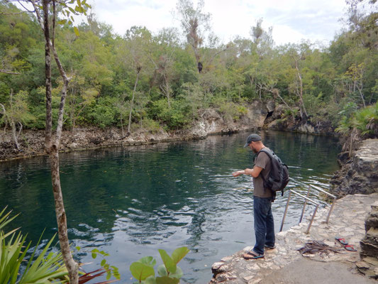 Cenote "cueva de los peces"
