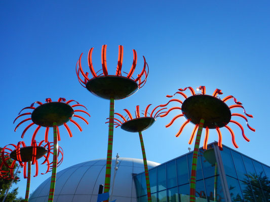 Glasgardens