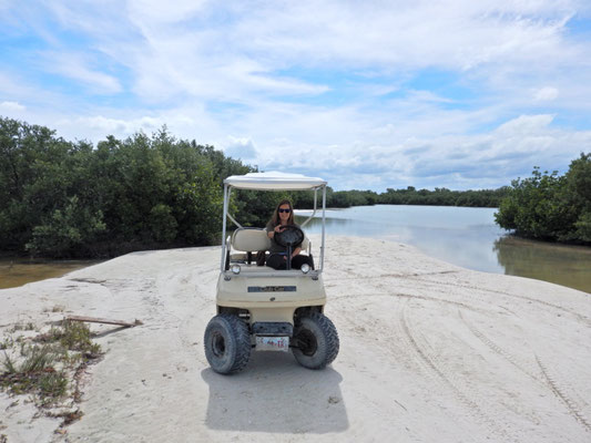 Unser 4x4 Golfcart