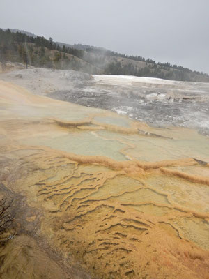 Mammoth Hot Springs