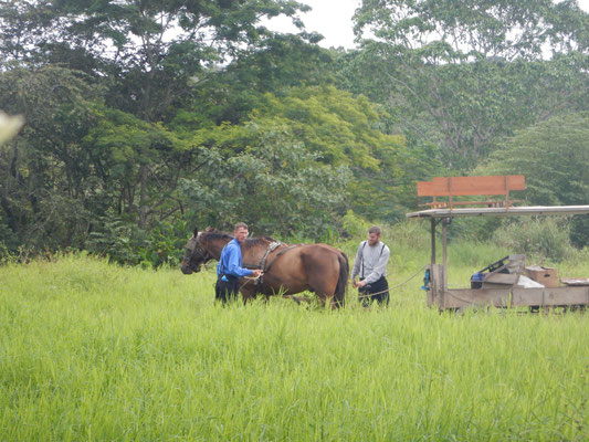 Mennoniten bei der Arbeit