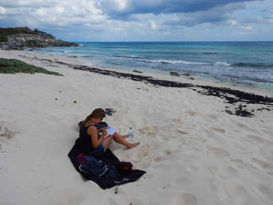 Bloggschreiben am Strand