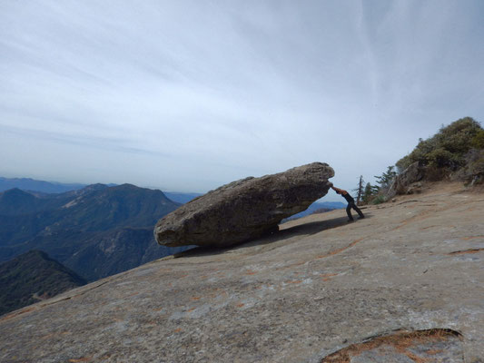 Im Sequoia NP