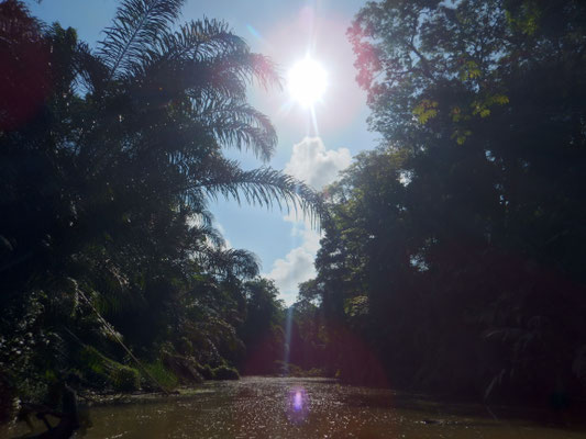 Zurück auf der Finca
