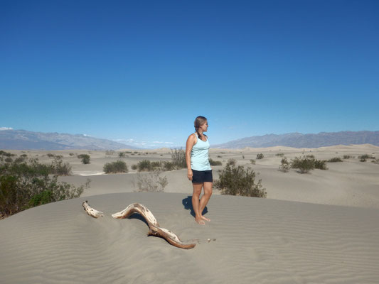 Mesquite Sand Dunes