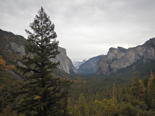 Blick auf den Halfdome