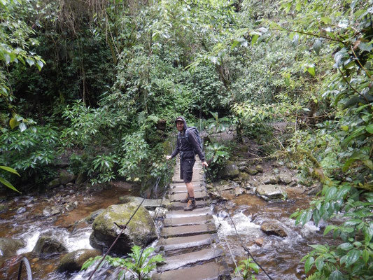 Wanderung zu den Wachspalmen