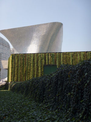 Museo Soumaya