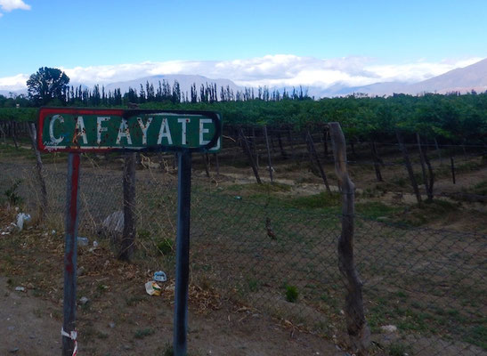Cafayate - das höchstgelegenste Weinanbaugebiet 