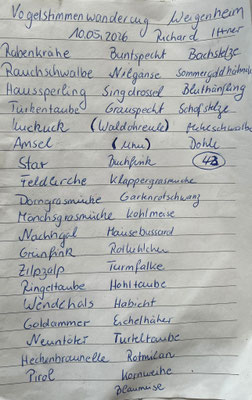 ©Andrea Schwarzkopf-Hennefelder